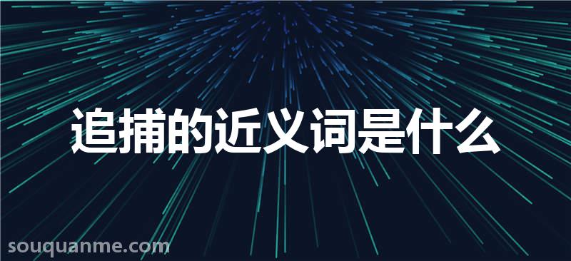 追捕的近义词是什么 追捕的读音拼音 追捕的词语解释